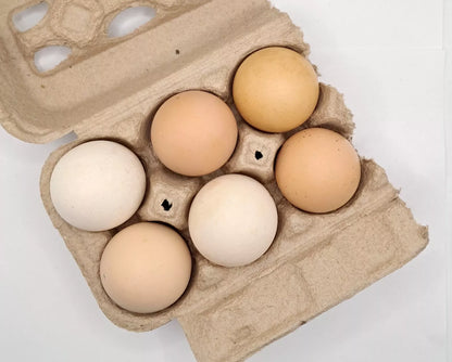 Variety Heritage Pure Breed Hatching Eggs Pure Breeds NPIP Certified Five Acre (12 Eggs)
