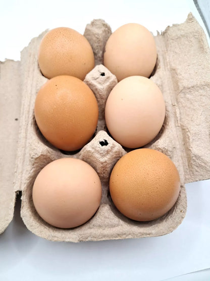 Variety Heritage Pure Breed Hatching Eggs Pure Breeds NPIP Certified Five Acre (12 Eggs)